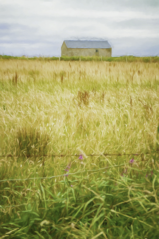 Donegal_Barn_Watercolor