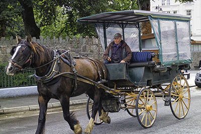 Horse_Cart