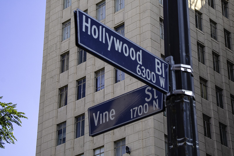 HollywoodandVine
